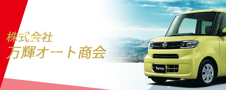 bankiautocarlife-banner