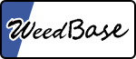 weedbace